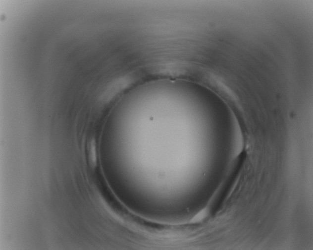 X0000062910020200601201948