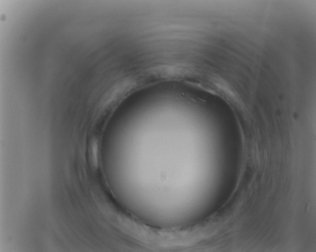 X0000062910022200601201948