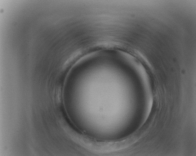 X0000062910023200601201948