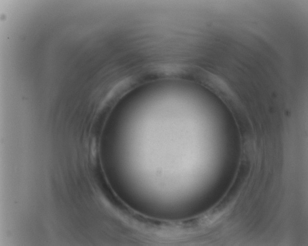 X0000062910024200601201948