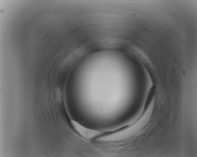 X0000062910025200601201948