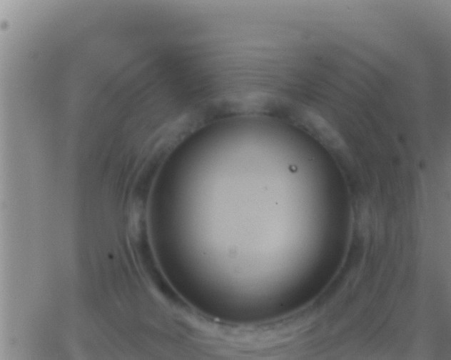 X0000062910026200601201947