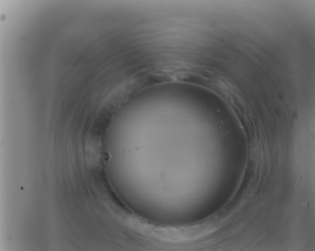 X0000062910030200601201947