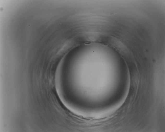 X0000062910031200601201947