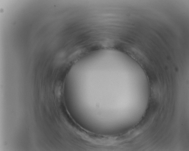 X0000062910032200601201947