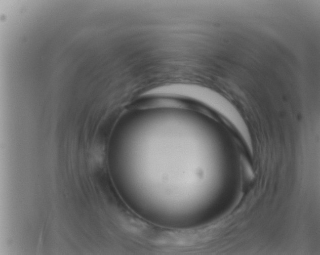 X0000062910033200601201947