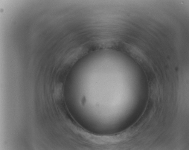 X0000062910034200601201947