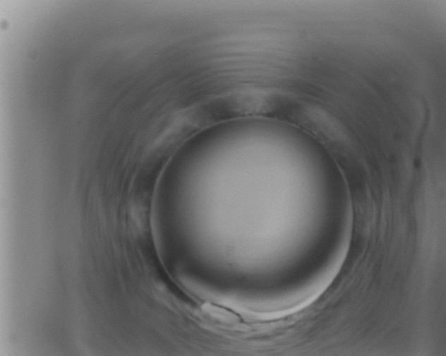 X0000062910035200601201947