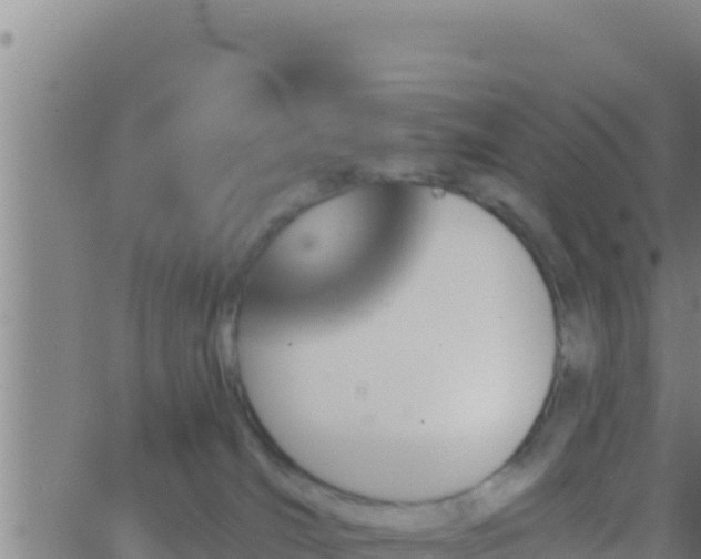 X0000062910036200601201947