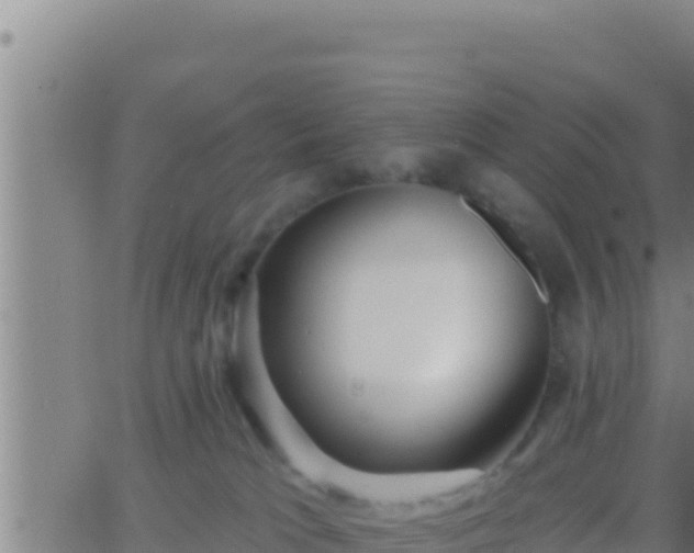 X0000062910037200601201947