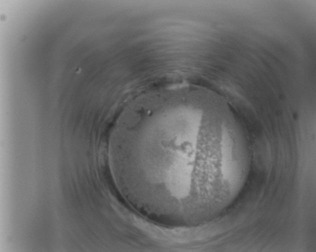 X0000062910038200601201947