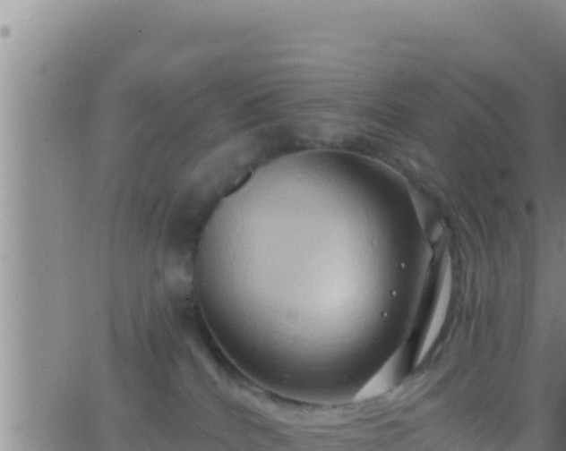 X0000062910040200601201947