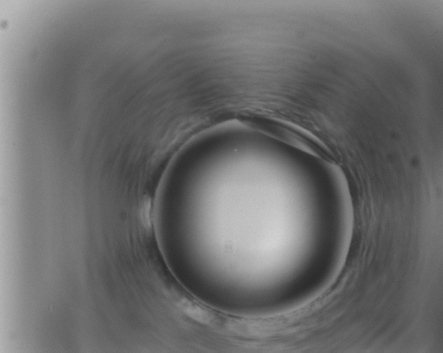 X0000062910041200601201947