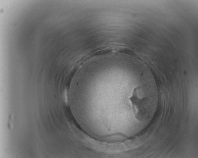 X0000062910042200601201947