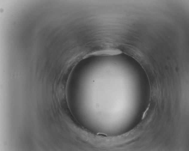 X0000062910043200601201947