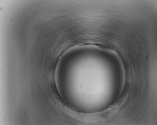 X0000062910044200601201947