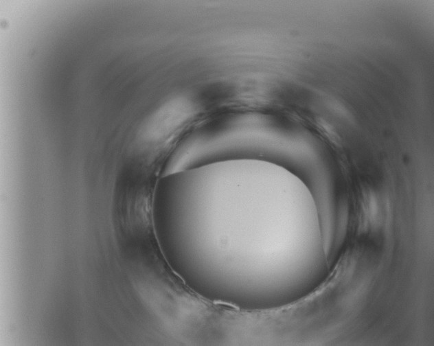 X0000062910045200601201947