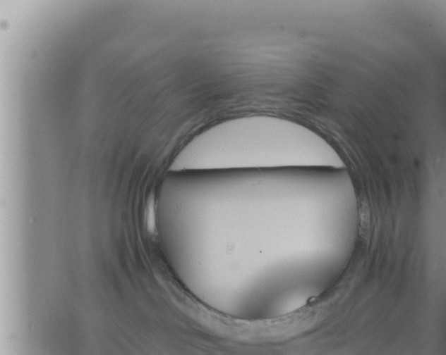 X0000062910046200601201947