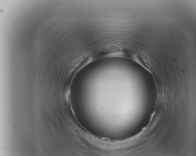 X0000062910047200601201947