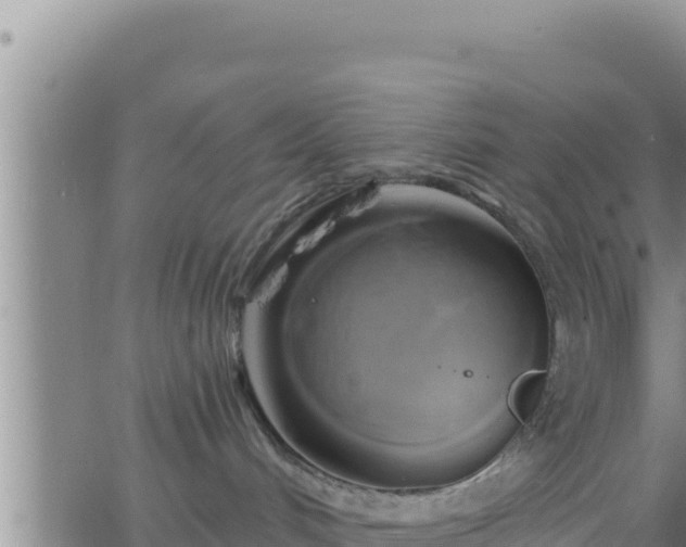 X0000062910048200601201947