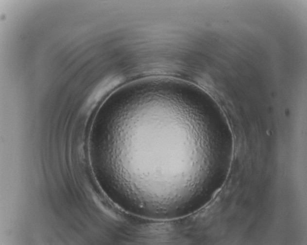 X0000062910050200601201946