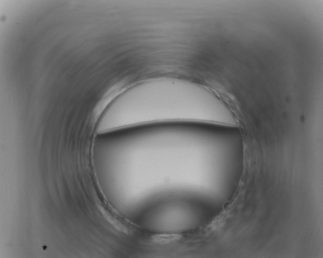 X0000062910051200601201946