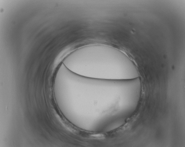 X0000062910053200601201946