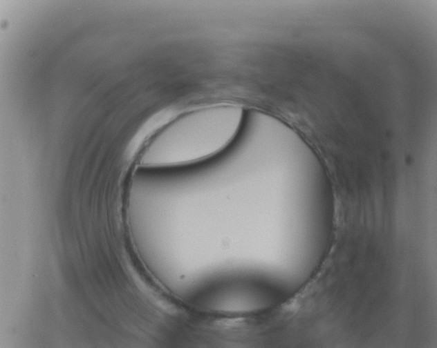 X0000062910054200601201946