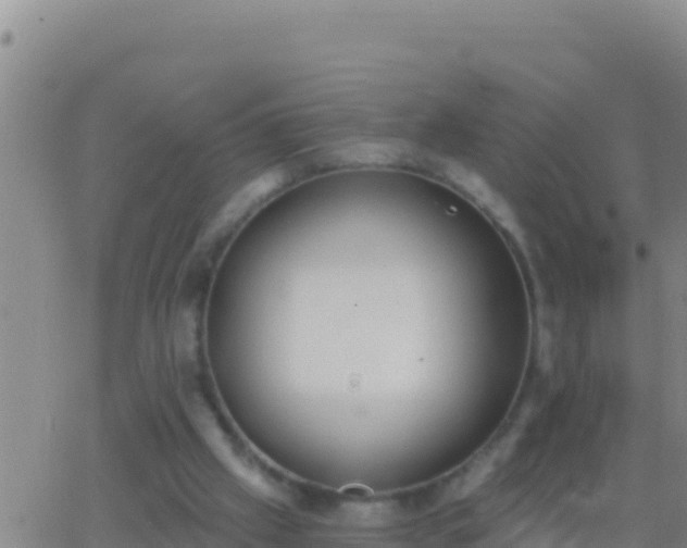 X0000062910057200601201946