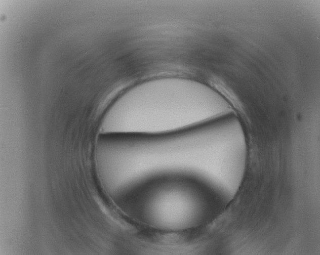 X0000062910058200601201946