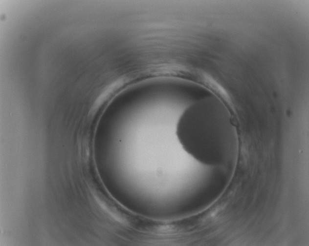 X0000062910059200601201946