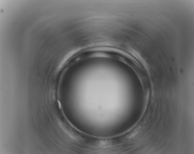 X0000062910060200601201947