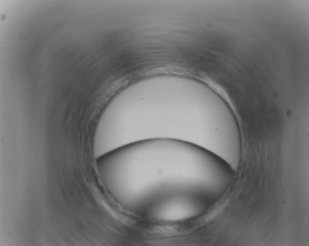 X0000062910061200601201947