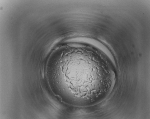 X0000062910062200601201947