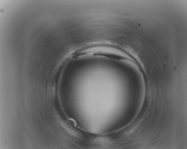 X0000062910063200601201947