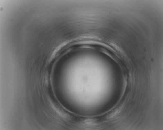 X0000062910064200601201947