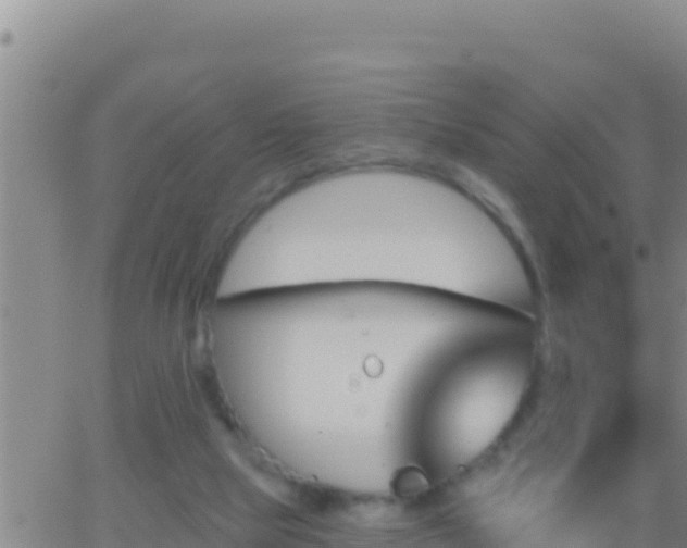 X0000062910065200601201947