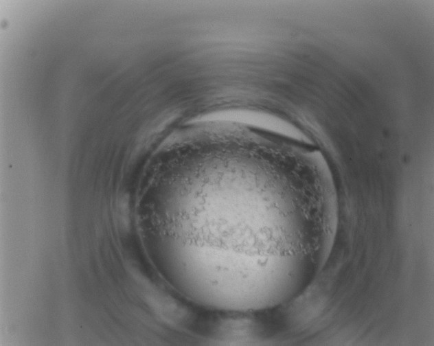 X0000062910066200601201947