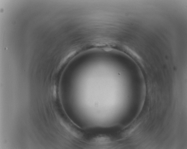 X0000062910067200601201947