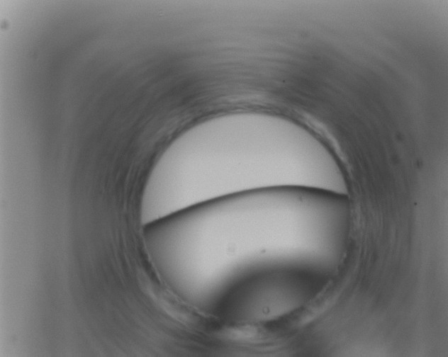 X0000062910069200601201947