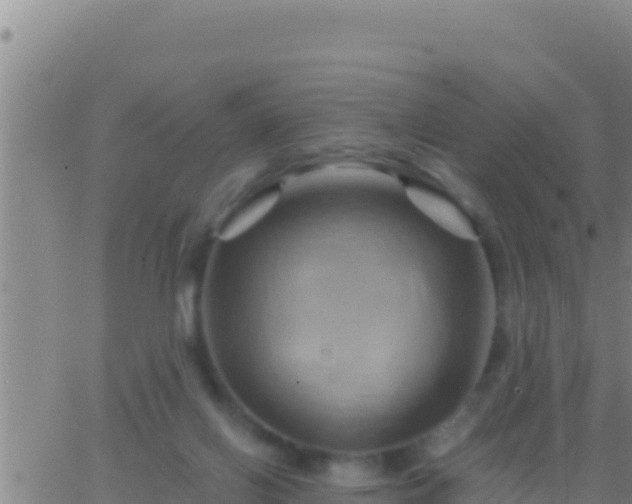 X0000062910070200601201947