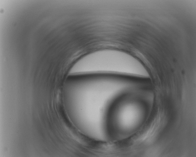 X0000062910071200601201947