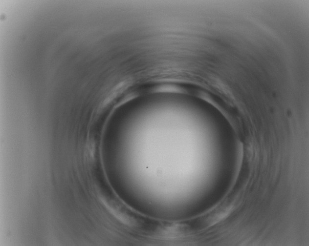 X0000062910072200601201947