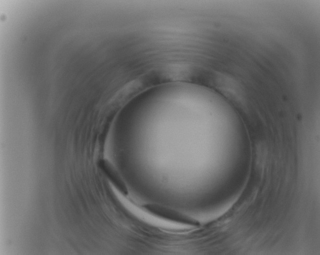 X0000062910073200601201947