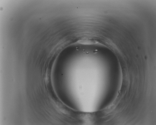 X0000062910074200601201947