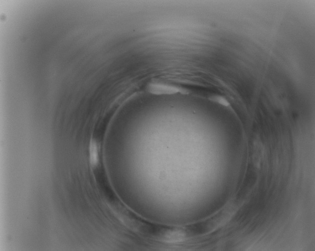 X0000062910075200601201947