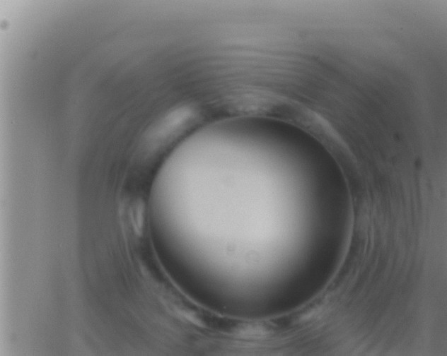 X0000062910076200601201947