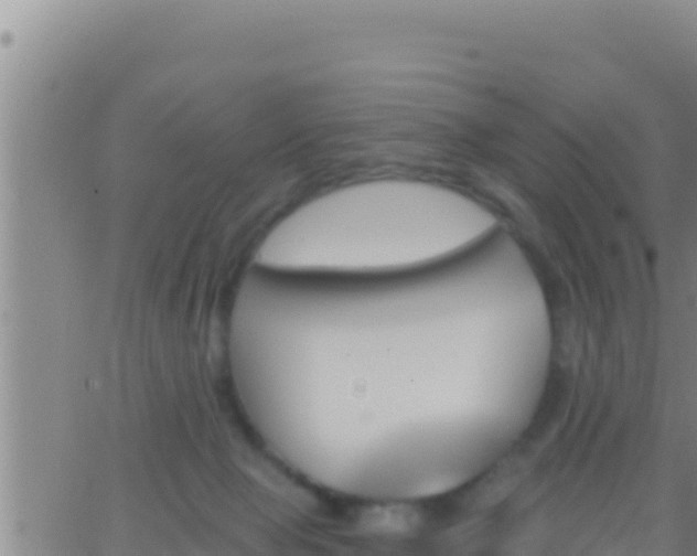 X0000062910077200601201947