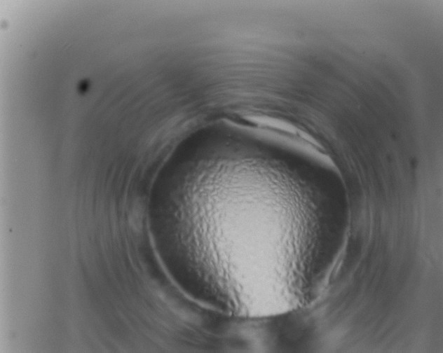 X0000062910078200601201947