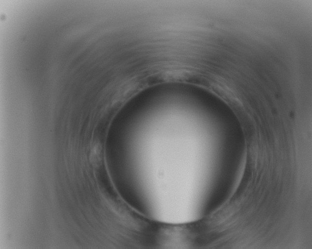 X0000062910079200601201947